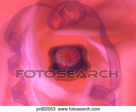 jewel case, ribbon, jewel case, mood image, mood, mood, 0914 View Large Photo Image Stock Image - jewel case, ribbon, jewel case, mood image, mood, mood, 0914. Fotosearch
