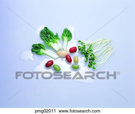 Stock Image - kidney bean, French bean, agricultural products, farm produce, bud of a radish, radish bud. Fotosearch