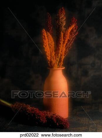 Stock Image - plant, reed, kaoliang, living articles, flower vase, 0941. Fotosearch