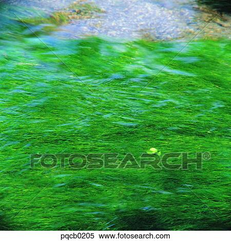 valley, canyon, leaves, day, water, wave, ripple View Large Photo Image Stock Photography - valley, canyon, leaves, day, water, wave, ripple. Fotosearch