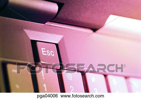 function key, notebook, office machine, articles, things, objects View Large Photo Image Stock Photograph - function key, notebook, office machine, articles, things, objects. Fotosearch