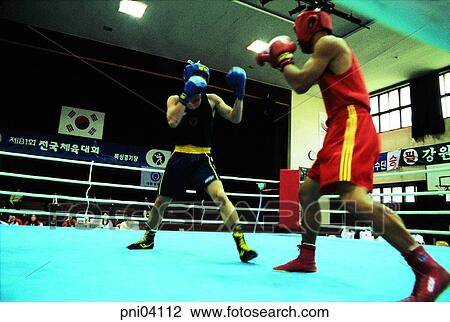 furious fisticuffs, fighting, boxing, boxer, Oriental, ring, person View Large Photo Image Stock Image - furious fisticuffs, fighting, boxing, boxer, Oriental, ring, person. Fotosearch
