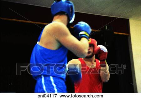 furious fisticuffs, fighting, boxing, boxer, person, people View Large Photo Image Stock Photo - furious fisticuffs, fighting, boxing, boxer, person, people. Fotosearch