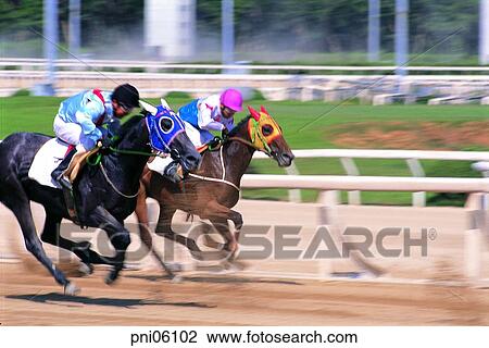 horse race, horse racing, race, rider, horseman, jockey, Oriental View Large Photo Image Stock Image - horse race, horse racing, race, rider, horseman, jockey, Oriental. Fotosearch