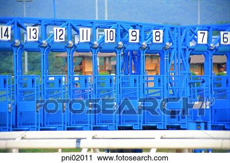horse race, horse racing, race track, horse race track, day, number View Large Photo Image Stock Image - horse race, horse racing, race track, horse race track, day, number. Fotosearch