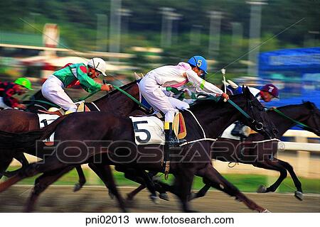 horse race, horse racing, race track, horse race track, rider, horseman, jockey View Large Photo Image Stock Image - horse race, horse racing, race track, horse race track, rider, horseman, jockey. Fotosearch
