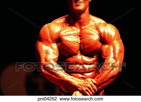 Stock Image - muscles, masculine beauty, manly beauty, men, male, bodybuilding. Fotosearch