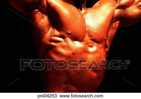 muscles, masculine beauty, manly beauty, men, male, bodybuilding View Large Photo Image Stock Image - muscles, masculine beauty, manly beauty, men, male, bodybuilding. Fotosearch
