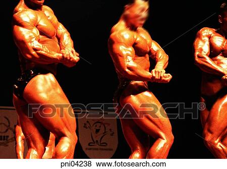 muscles, masculine beauty, manly beauty, men, male, bodybuilding View Large Photo Image Stock Photo - muscles, masculine beauty, manly beauty, men, male, bodybuilding. Fotosearch