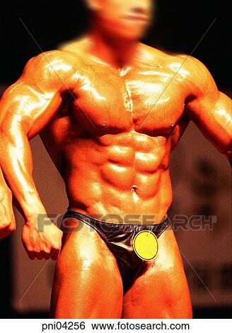 muscles, masculine beauty, manly beauty, men, male, bodybuilding View Large Photo Image Stock Photograph - muscles, masculine beauty, manly beauty, men, male, bodybuilding. Fotosearch