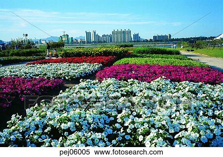 building establishments, building equipments, terrace land on the river, park, flower garden, day, waterside View Large Photo Image Stock Photography - building establishments, building equipments, terrace land on the river, park, flower garden, day, waterside. Fotosearch