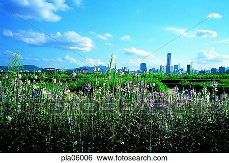 building, structure, sports ground, stadium, high building, skyscraper, cloud View Large Photo Image Stock Photograph - building, structure, sports ground, stadium, high building, skyscraper, cloud. Fotosearch