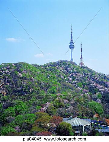 park, famous travel place, travel place, tree, Namsan, Namsan park, Namsan botanical garden View Large Photo Image Stock Photography - park, famous travel place, travel place, tree, Namsan, Namsan park, Namsan botanical garden. Fotosearch