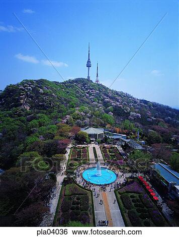 park, tourist, famous travel place, travel place, Namsan, Namsan botanical garden, Namsan tower View Large Photo Image Stock Photograph - park, tourist, famous travel place, travel place, Namsan, Namsan botanical garden, Namsan tower. Fotosearch