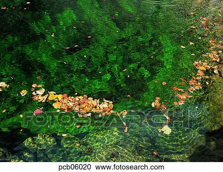 canyon, fall, valley, autumn view, autumn scenery, valley, autumn View Large Photo Image Stock Image - canyon, fall, valley, autumn view, autumn scenery, valley, autumn. Fotosearch