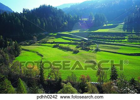 country, landscape, tree, Swiss, Europe, field View Large Photo Image Stock Image - country, landscape, tree, Swiss, Europe, field. Fotosearch