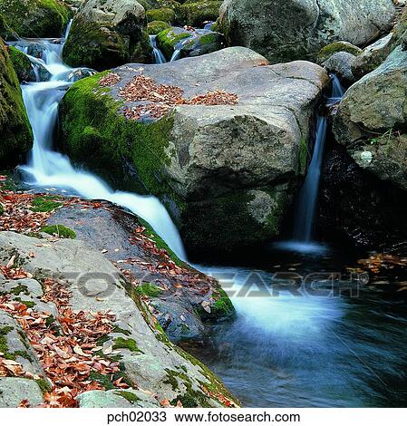 leaf, mountain, tree, valley, landscape, rock, autumn View Large Photo Image Stock Image - leaf, mountain, tree, valley, landscape, rock, autumn. Fotosearch