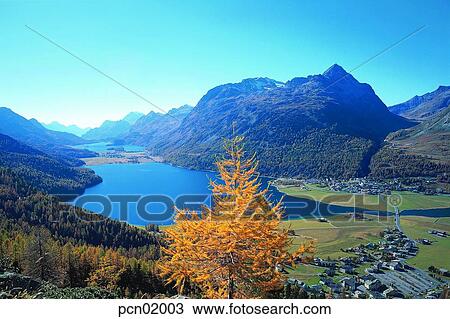 river, river, tree, day, maple, maple, village View Large Photo Image Stock Image - river, river, tree, day, maple, maple, village. Fotosearch