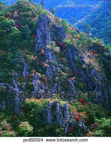 scene, fall, autumn view, autumn scenery, autumn mountain, scenery, autumn View Large Photo Image Picture - scene, fall, autumn view, autumn scenery, autumn mountain, scenery, autumn. Fotosearch