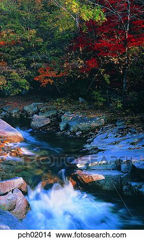 scene, fall, autumn view, autumn scenery, autumn mountain, scenery, autumn View Large Photo Image Picture - scene, fall, autumn view, autumn scenery, autumn mountain, scenery, autumn. Fotosearch