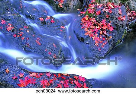 scene, fall, autumn view, autumn scenery, autumn mountain, scenery, autumn View Large Photo Image Picture - scene, fall, autumn view, autumn scenery, autumn mountain, scenery, autumn. Fotosearch