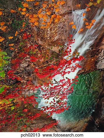 scene, fall, autumn view, autumn scenery, autumn mountain, scenery, autumn View Large Photo Image Stock Image - scene, fall, autumn view, autumn scenery, autumn mountain, scenery, autumn. Fotosearch