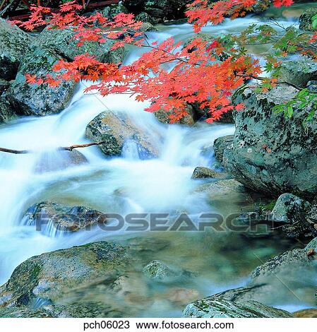 scene, fall, autumn view, autumn scenery, autumn mountain, scenery, autumn View Large Photo Image Stock Image - scene, fall, autumn view, autumn scenery, autumn mountain, scenery, autumn. Fotosearch