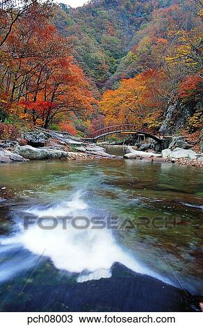 scene, fall, autumn view, autumn scenery, autumn mountain, scenery, autumn View Large Photo Image Stock Image - scene, fall, autumn view, autumn scenery, autumn mountain, scenery, autumn. Fotosearch