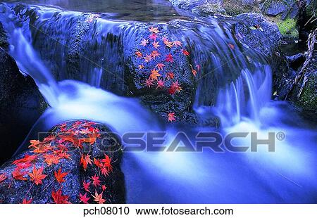 scene, fall, autumn view, autumn scenery, autumn mountain, scenery, autumn View Large Photo Image Stock Image - scene, fall, autumn view, autumn scenery, autumn mountain, scenery, autumn. Fotosearch