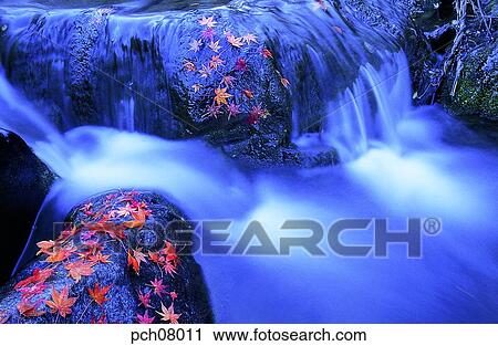 scene, fall, autumn view, autumn scenery, autumn mountain, scenery, autumn View Large Photo Image Stock Image - scene, fall, autumn view, autumn scenery, autumn mountain, scenery, autumn. Fotosearch