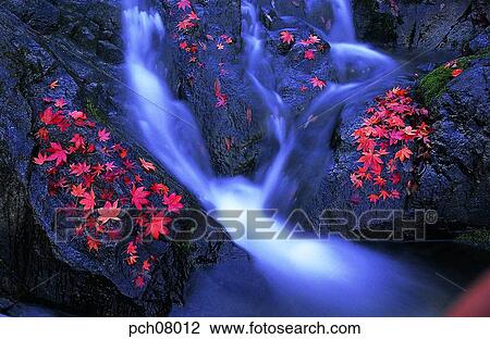 scene, fall, autumn view, autumn scenery, autumn mountain, scenery, autumn View Large Photo Image Stock Image - scene, fall, autumn view, autumn scenery, autumn mountain, scenery, autumn. Fotosearch