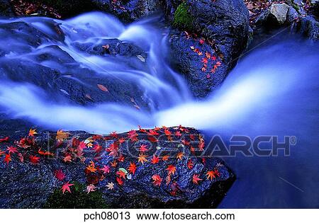 scene, fall, autumn view, autumn scenery, autumn mountain, scenery, autumn View Large Photo Image Stock Image - scene, fall, autumn view, autumn scenery, autumn mountain, scenery, autumn. Fotosearch