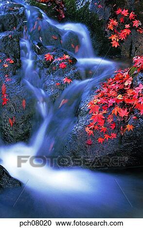 scene, fall, autumn view, autumn scenery, autumn mountain, scenery, autumn View Large Photo Image Stock Image - scene, fall, autumn view, autumn scenery, autumn mountain, scenery, autumn. Fotosearch