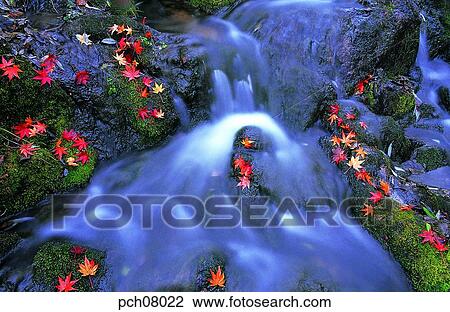 scene, fall, autumn view, autumn scenery, autumn mountain, scenery, autumn View Large Photo Image Stock Image - scene, fall, autumn view, autumn scenery, autumn mountain, scenery, autumn. Fotosearch
