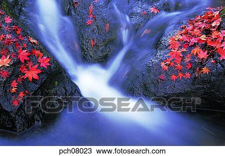 scene, fall, autumn view, autumn scenery, autumn mountain, scenery, autumn View Large Photo Image Stock Image - scene, fall, autumn view, autumn scenery, autumn mountain, scenery, autumn. Fotosearch