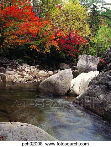 scene, fall, autumn view, autumn scenery, autumn mountain, scenery, autumn View Large Photo Image Stock Photo - scene, fall, autumn view, autumn scenery, autumn mountain, scenery, autumn. Fotosearch