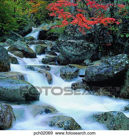 scene, fall, autumn view, autumn scenery, autumn mountain, scenery, autumn View Large Photo Image Stock Photo - scene, fall, autumn view, autumn scenery, autumn mountain, scenery, autumn. Fotosearch