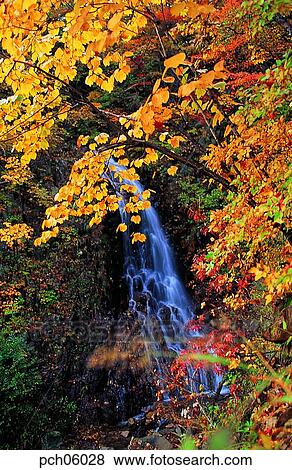 Stock Photo - scene, fall, autumn view, autumn scenery, autumn mountain, scenery, autumn. Fotosearch