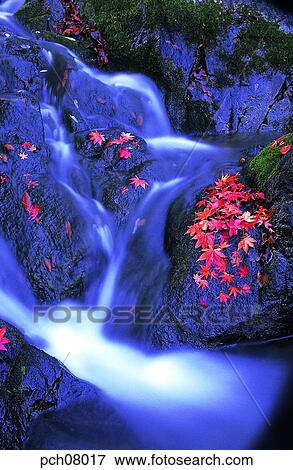 scene, fall, autumn view, autumn scenery, autumn mountain, scenery, autumn View Large Photo Image Stock Photo - scene, fall, autumn view, autumn scenery, autumn mountain, scenery, autumn. Fotosearch