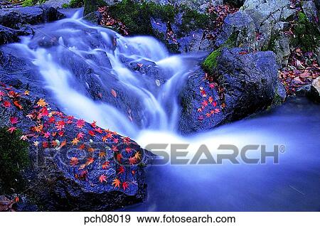 Stock Photo - scene, fall, autumn view, autumn scenery, autumn mountain, scenery, autumn. Fotosearch