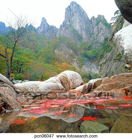 scene, fall, autumn view, autumn scenery, autumn mountain, scenery, autumn View Large Photo Image Stock Photo - scene, fall, autumn view, autumn scenery, autumn mountain, scenery, autumn. Fotosearch