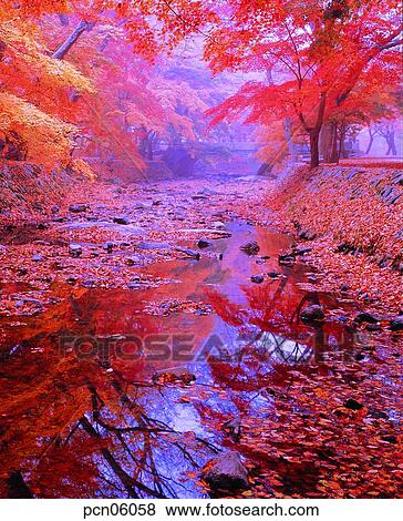 scene, fall, autumn view, autumn scenery, autumn mountain, scenery, autumn View Large Photo Image Stock Photo - scene, fall, autumn view, autumn scenery, autumn mountain, scenery, autumn. Fotosearch