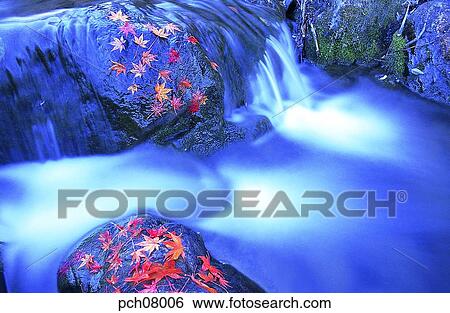 Stock Photograph - scene, fall, autumn view, autumn scenery, autumn mountain, scenery, autumn. Fotosearch