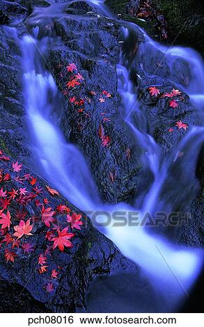 scene, fall, autumn view, autumn scenery, autumn mountain, scenery, autumn View Large Photo Image Stock Photograph - scene, fall, autumn view, autumn scenery, autumn mountain, scenery, autumn. Fotosearch