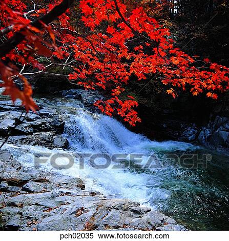 scene, fall, autumn view, autumn scenery, autumn mountain, scenery, autumn View Large Photo Image Stock Photography - scene, fall, autumn view, autumn scenery, autumn mountain, scenery, autumn. Fotosearch