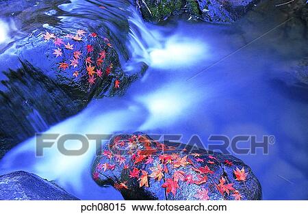 Stock Photography - scene, fall, autumn view, autumn scenery, autumn mountain, scenery, autumn. Fotosearch