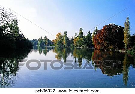 street tree, avenue, autumn, fall, river, riverside, river View Large Photo Image Stock Image - street tree, avenue, autumn, fall, river, riverside, river. Fotosearch