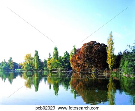 street tree, avenue, autumn, fall, river, riverside, river View Large Photo Image Stock Photo - street tree, avenue, autumn, fall, river, riverside, river. Fotosearch