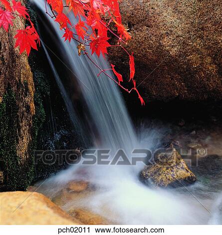 valley, fall, autumn view, autumn scenery, autumn mountain, canyon, autumn View Large Photo Image Stock Image - valley, fall, autumn view, autumn scenery, autumn mountain, canyon, autumn. Fotosearch