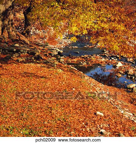 valley, fall, autumn view, autumn scenery, autumn mountain, canyon, autumn View Large Photo Image Stock Photo - valley, fall, autumn view, autumn scenery, autumn mountain, canyon, autumn. Fotosearch
